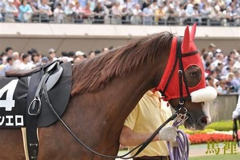 三白眼 馬